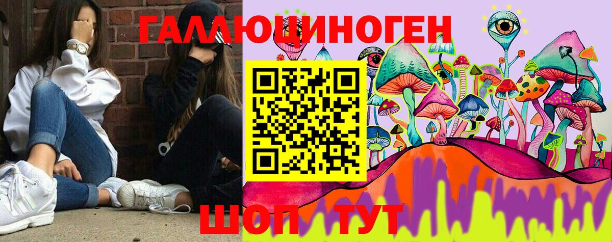 наркотики  Вход с VPN  Белово  Псилоцибиновые грибы Psilocybe 