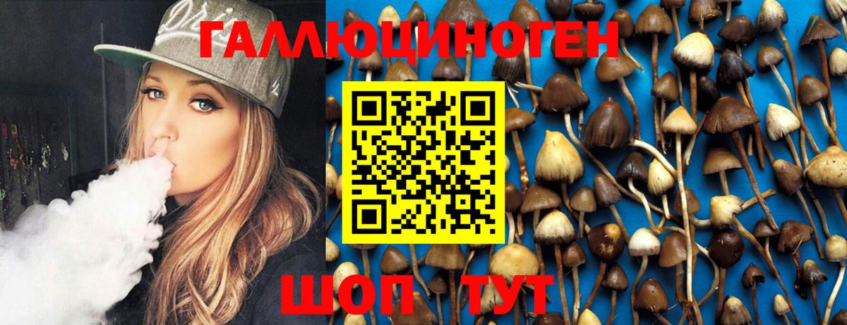 Псилоцибиновые грибы Psilocybe Белово